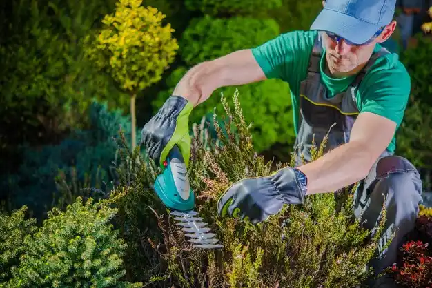 landscaping services Paradis